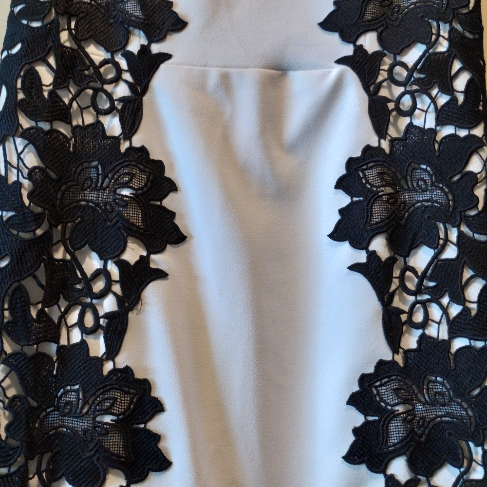NWOT / BETSEY JOHNSON shell midi dress with lace appliques - Picture 7 of 11